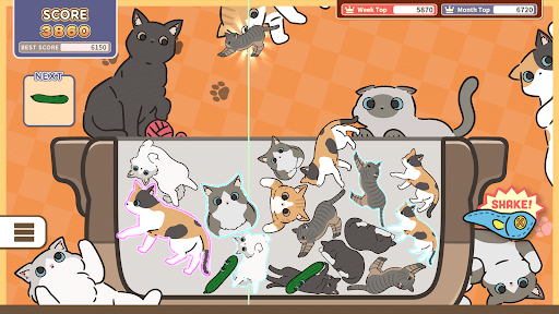 猫咪三重奏正版