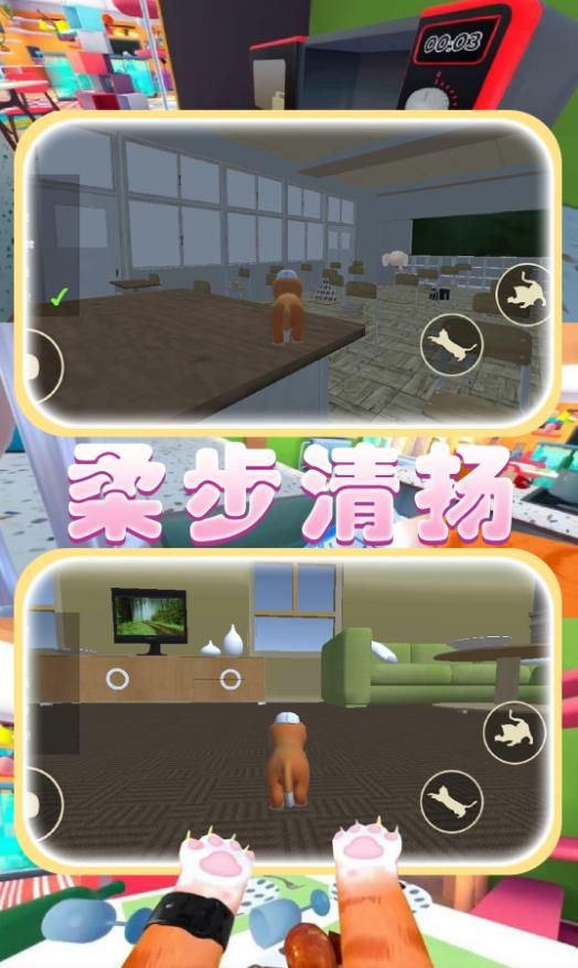 猫猫奇妙冒险