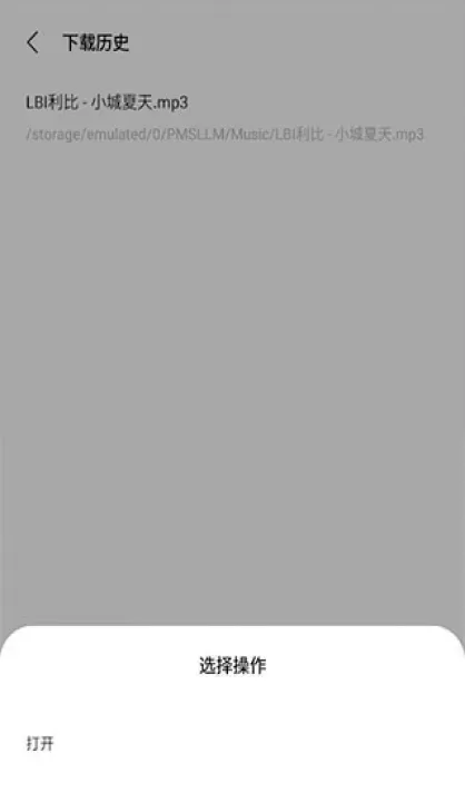歌词适配免费版_https://www.78xz.com_音乐软件_第5张
