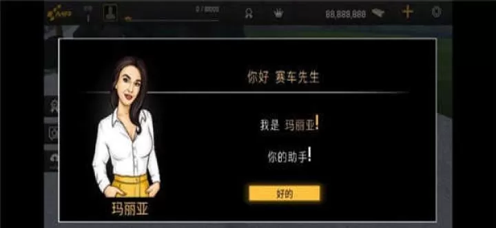 赛车飞驰人生_https://www.78xz.com_体育竞技_第1张
