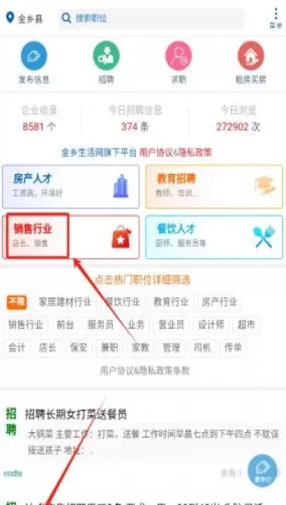 金乡人才网_https://www.78xz.com_生活休闲_第2张